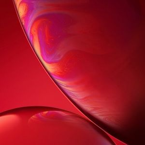 Meet your Posher, Lashonda